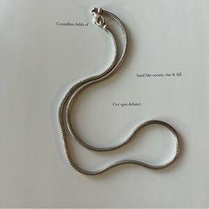 Sterling Silver Snake Chain Necklace